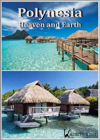 .     / Polynesia. Between Heaven and Earth (2005/SATRip)