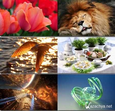 ������������� ����.