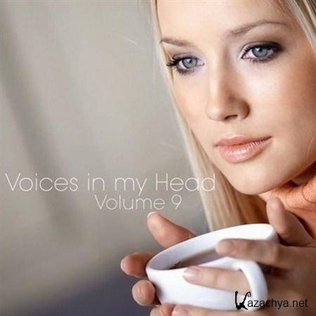 VA - Voices in my Head Volume 9 (2011)