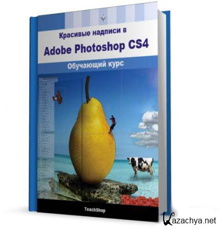    Adobe Photoshop CS4. (2010)