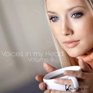 VA - Voices in my Head Volume 9 (2011).MP3