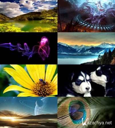 ������� ���� HQ ��������.