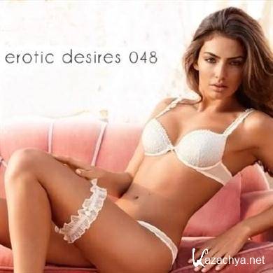 VA - Erotic Desires Volume 048 (2011).MP3