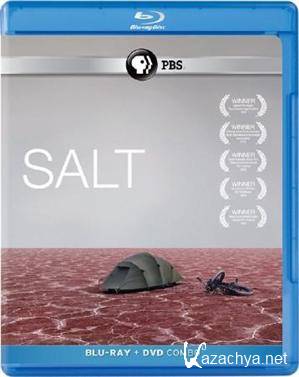  / Salt (2009) HDRip