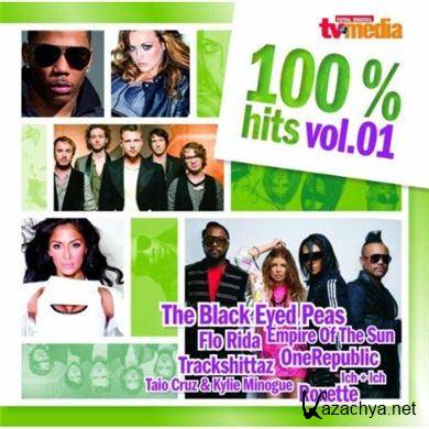 VA - TV-Media 100 Prozent Hits Vol 01-2CD (2011).MP3