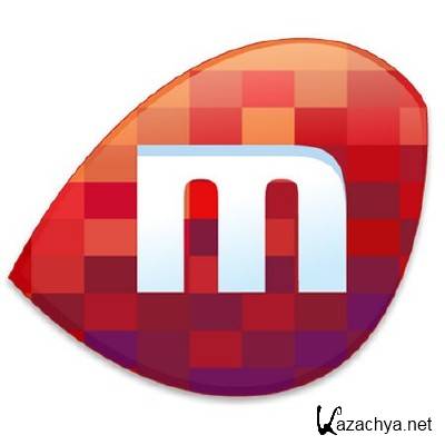 Miro 4.0.1.1 (2011) PC