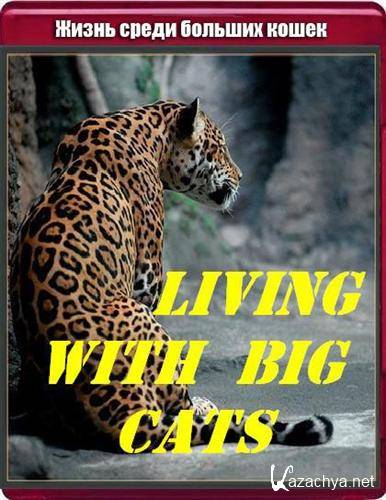 National Geographic:     / Living with Big Cats (2007) SATRip