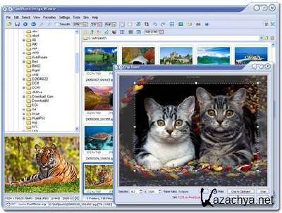 FastStone Image Viewer 4.6 Final Corporate 