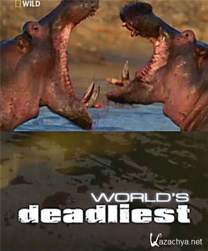   :   / World's deadliest: Animal Battles (2010) HDTVRip
