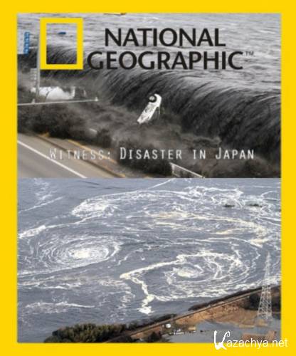   :   / Witness: Disaster In Japan (2011) SATRip