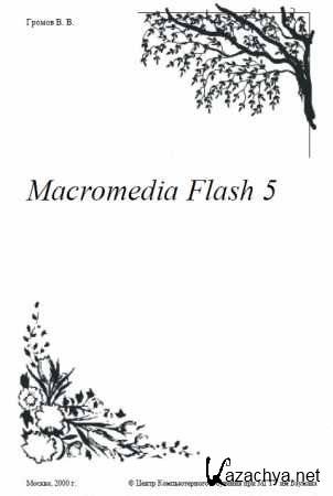 Macromedia Flash 5.