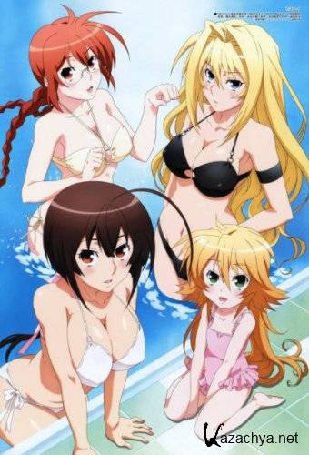  Sekirei /  (12  12 + 1 special / BDRip 720) 2008