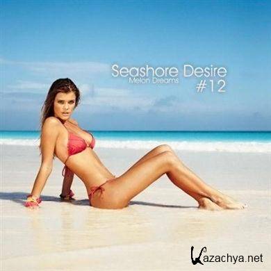 VA - Seashore Desire #12 (2011).MP3