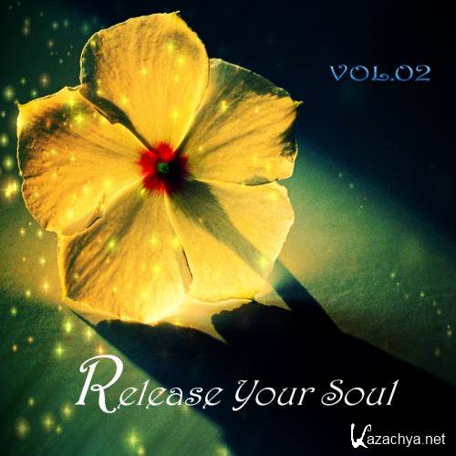 VA - Release Your Soul vol.02 (2011)
