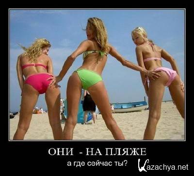 �������� ������������� � 347