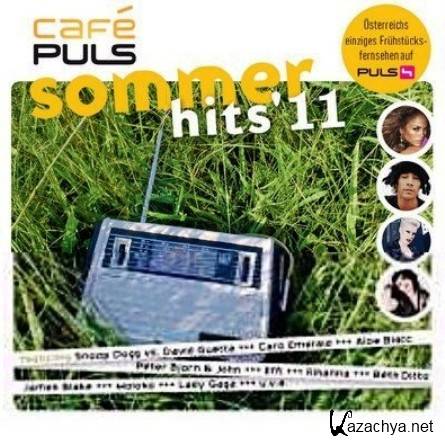 Cafe Puls Sommerhits '11 (2011)