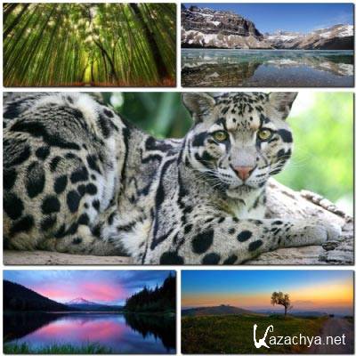 Nature Wallpapers Pack #34