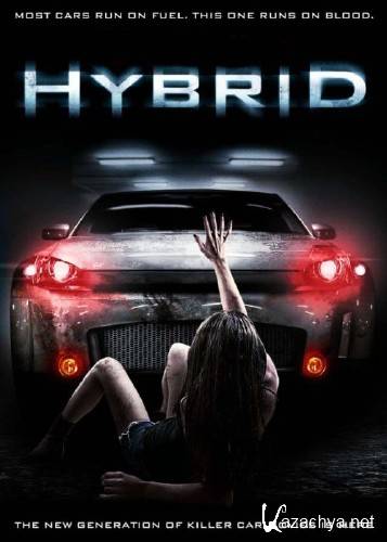  / Hybrid (2010) DVDRip