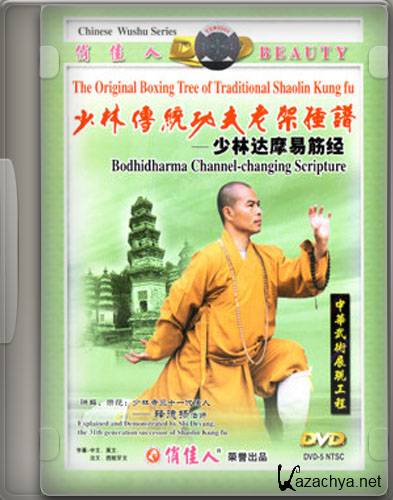    .  1,2 / Shaolin Damo Yi Jin Jing vol. 1,2 (2007) DVDRip
