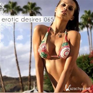 VA - Erotic Desires Volume 065 (2011).MP3