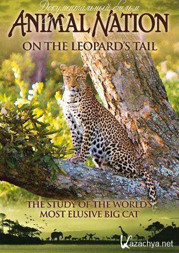    / On The Leopard's Tail (2005) TVRip