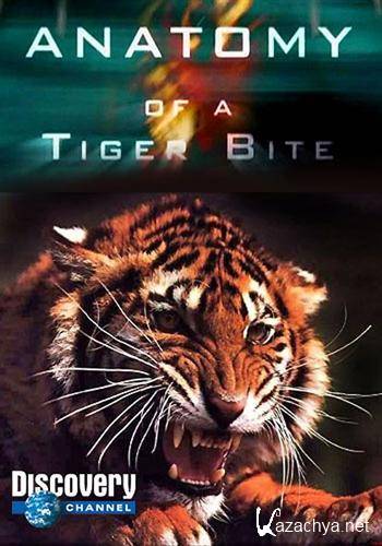    / Anatomy Of A Tiger Bite (2004) SATRip