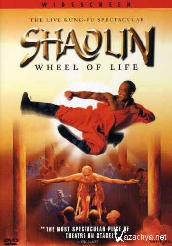   -   (, ) / Shaolin: Wheel of Life (2000) VHSRip