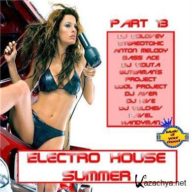VA - Electro House Summer 2011 (Part 13)(2011).MP3