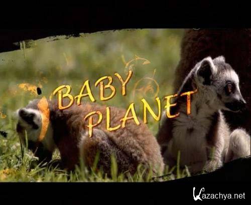   / Baby Planet (2008) IPTVRip