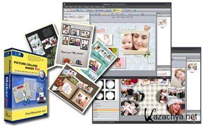 Picture Collage Maker Pro 3.0.5 build 3432 (2011)