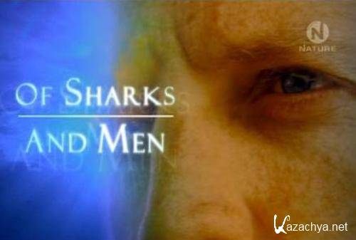     / Of Sharks and Men (2007) IPTVRip