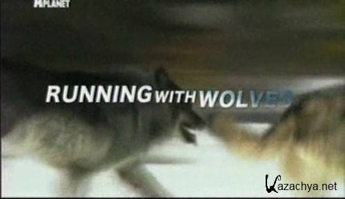    / Running with Wolves (2010) TVRip