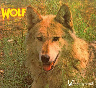 Darryl Way's Wolf - Canis Lupus (1973) lossless