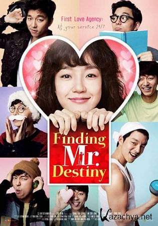     / Finding Mr. Destiny (2010/HDTVRip/1.31)