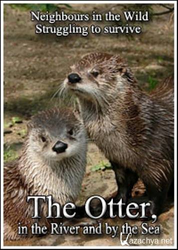 .      / Struggling to survive. The Otter in the River and by the Sea (2006) SATRip