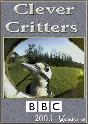    / Clever Critters (2003) SATRip