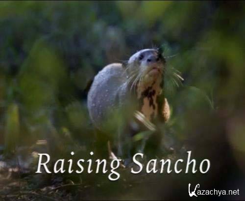   / Raising Sancho (2009) IPTVRip