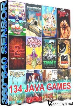 134   Java  /360640/RUS/2010-2011/