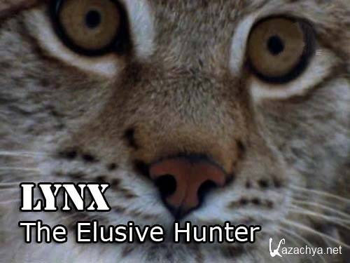 :   / Lynx: The Elusive Hunter (2003) SATRip