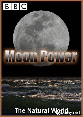  .   / The Natural World. Moon Power (2003) SATRip