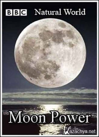 BBC:  .   / Natural World. Moon Power (2005) SATRip