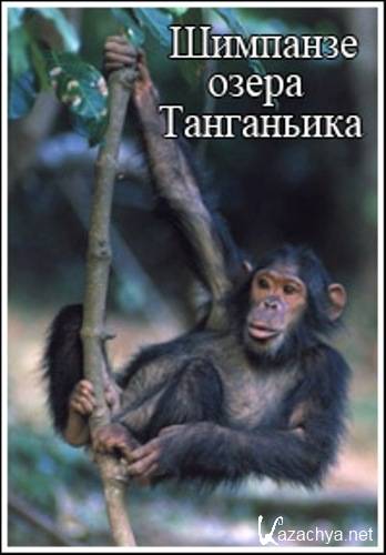    / The Chimpanzees of Tanganyika (2005) SATRip