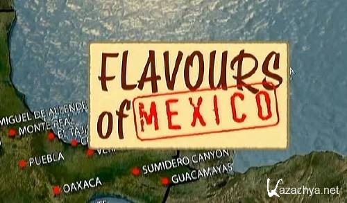   / Flavours Of Mexico (2009) SATRip ( 7 )