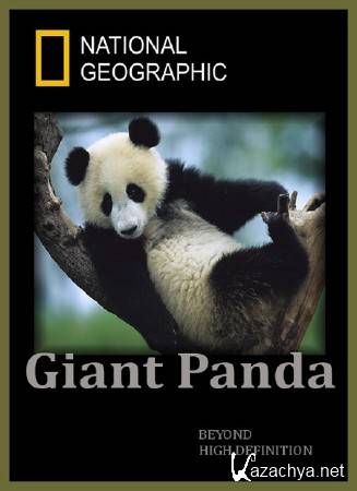  .    / Giant Panda. Pandas in the Wild (2009) HDTVRip