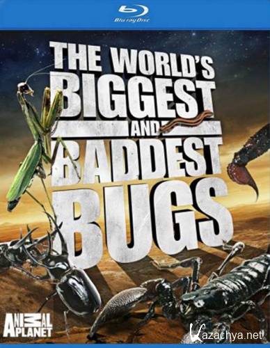 Animal Planet.        / World's Biggest and Baddest Bugs (2004) BDRip