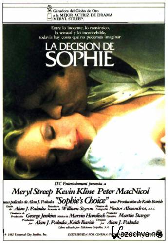 p  / Sophie's Choice (1982) DVDRi/1.25 Gb