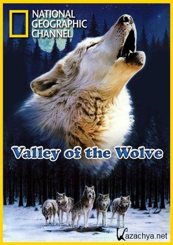   / Valley of the Wolves (2007) HDTVRip