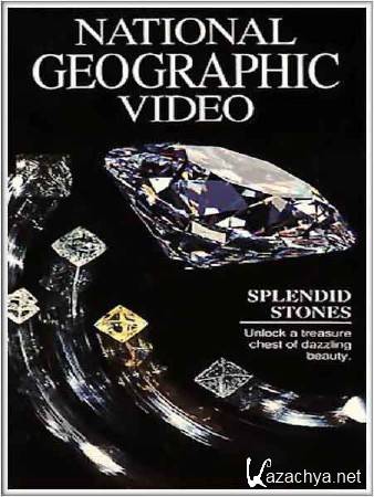 NG:   / Splendid Stones (1999) DVDRip