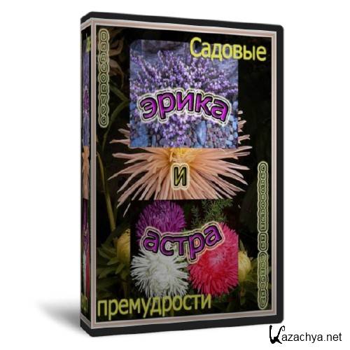 ������� �����������: ����� � �����   (2011)  SATRip