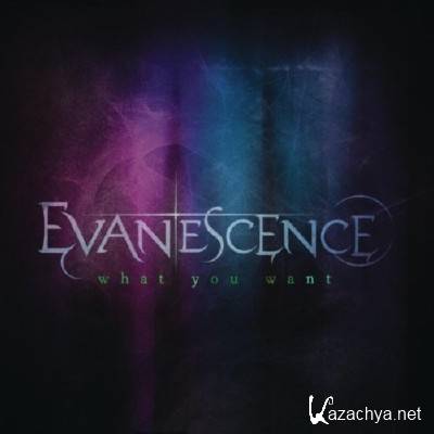 Evanescence - What You Want [Single] (2011)